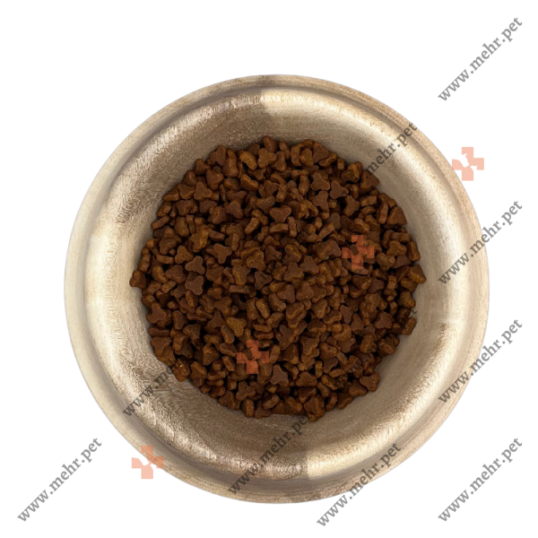 غذای خشک گربه رفلکس بچه گربه 0.5kg|Reflex kitten dry cat food 0.5kg