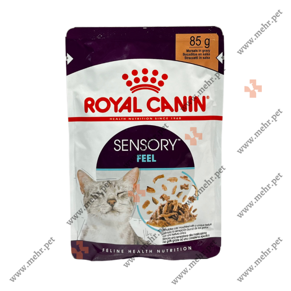 پوچ گربه رویال کنین بد غذا حسی|Royal Canin's nonsense, the food is bad