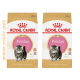 غذای خشک گربه رویال کنین بچه گربه پرشین(400 گرمی) |ROYAL CANIN Persian Kitten