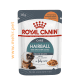 پوچ گربه دفع گلوله های مویی رویال کنین|Royal canin Hairball care